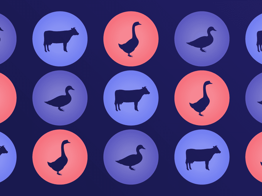 wild birds and cows, animals that can spread the bird flu