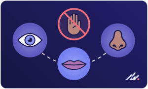 3 ways the bird flu can spread